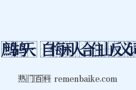 鹧鸪天·自悔闲人合住山反义词是什么意思的图片